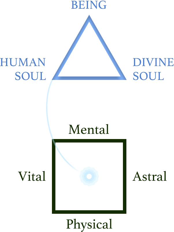 Essence Diagram