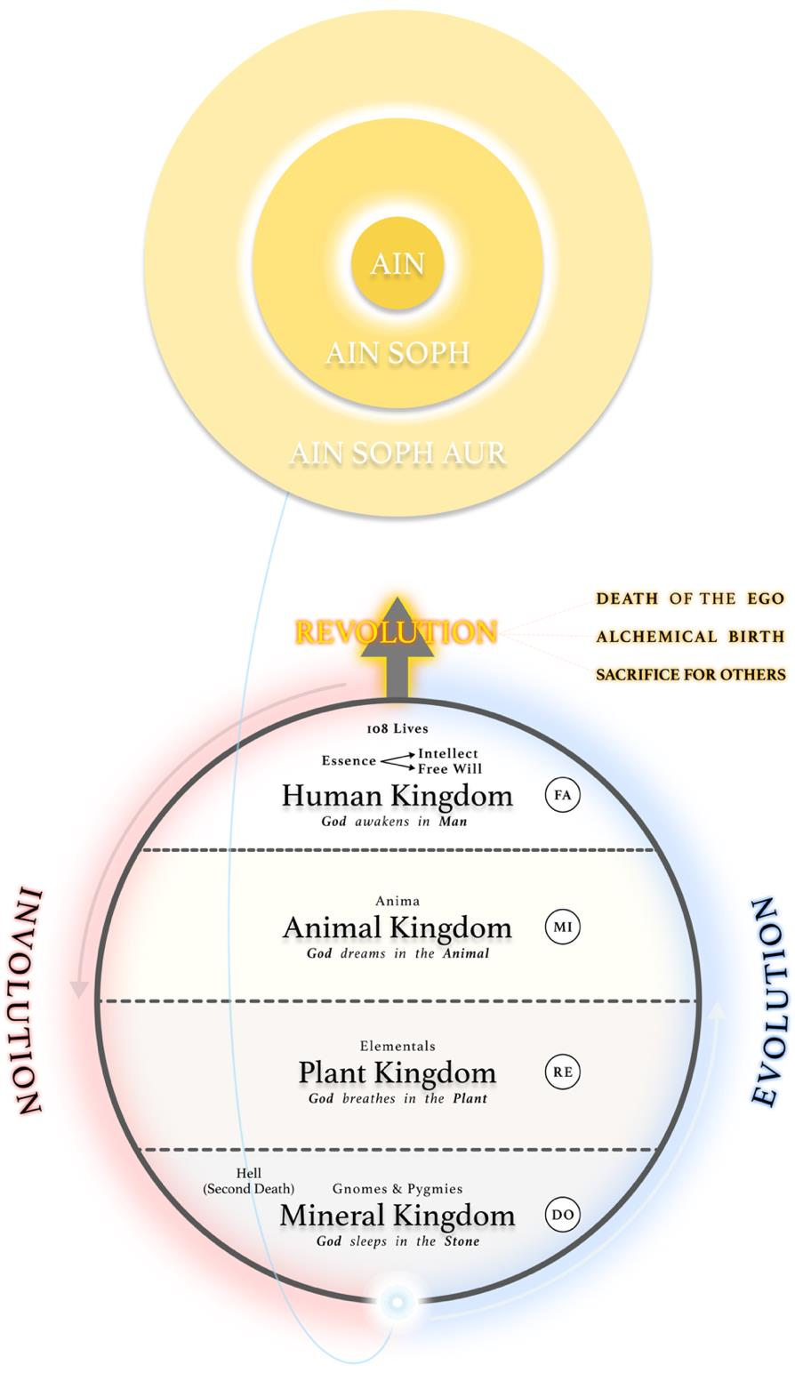 The Wheel of Samsara